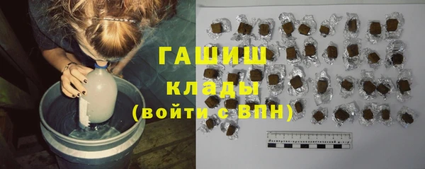 PSILOCYBIN Горняк