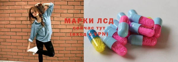 индика Гусиноозёрск
