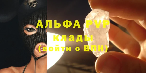 индика Гусиноозёрск