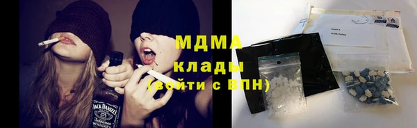 индика Гусиноозёрск