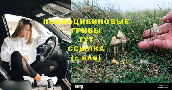 соль курить ск Горнозаводск