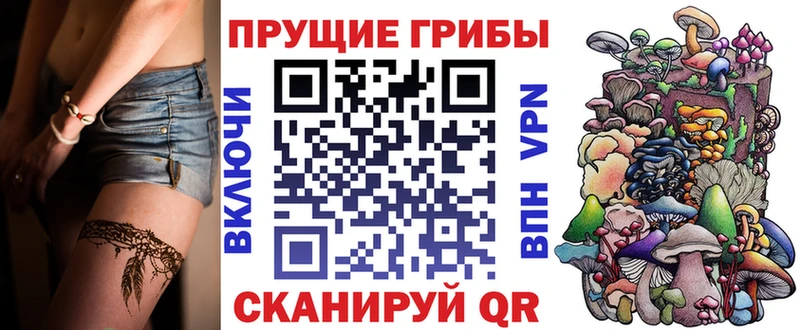 Псилоцибиновые грибы Psilocybe  Москва 