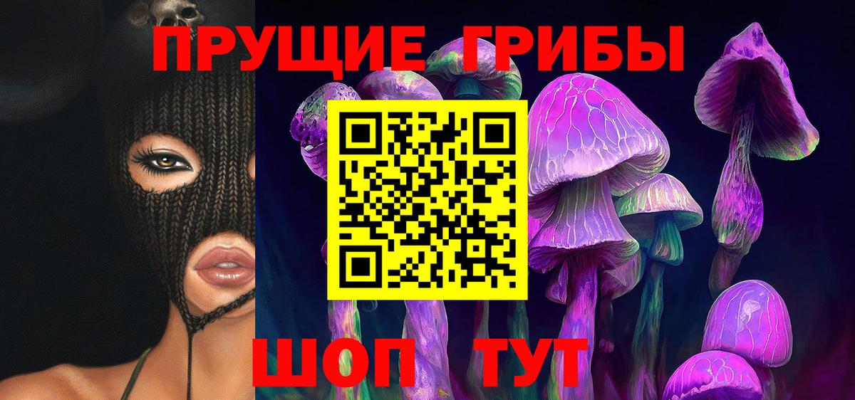 Псилоцибиновые грибы Cubensis Москва